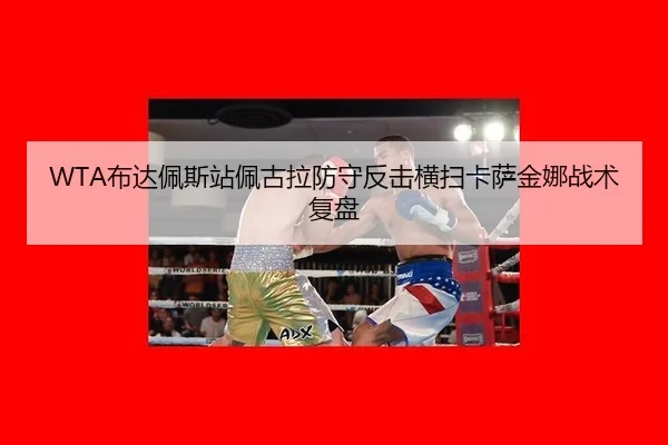 bu-da-pei-si-zhan-pei-gu-la-fang-shou-fan-ji-heng-sao-ka-sa-jin-na-zhan-shu-fu-pan-2-543.jpg